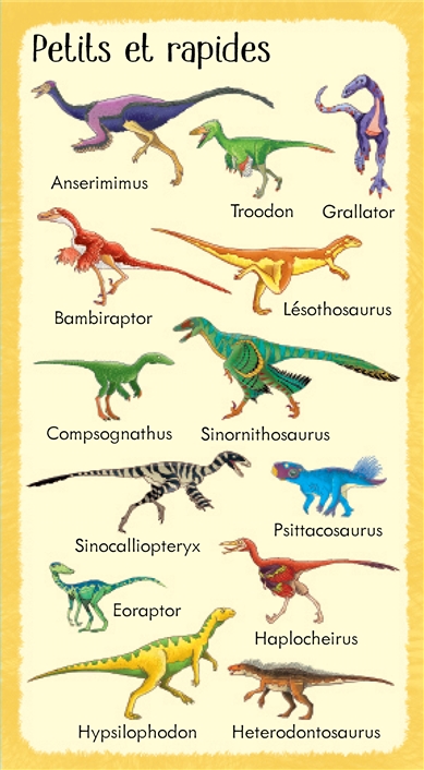 Usborne See Inside: 199 dinosaures et animaux préhistoriques