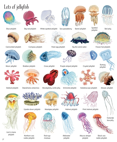 Usborne See Inside: 1000 things under the sea